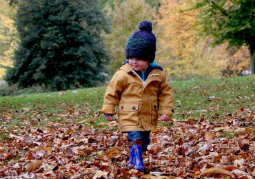 Fun Fall Activities for Children in Bellevue and Beyond