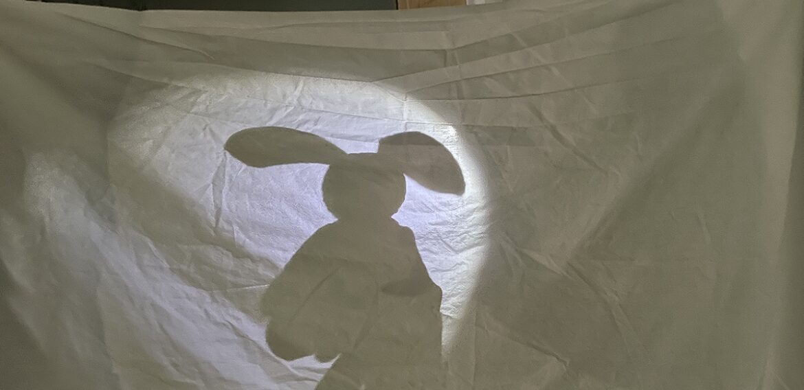 Shadow Show And Tell – Day 9 of 15 Days of Winter Break Activities