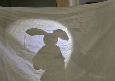 Shadow Show And Tell – Day 9 of 15 Days of Winter Break Activities